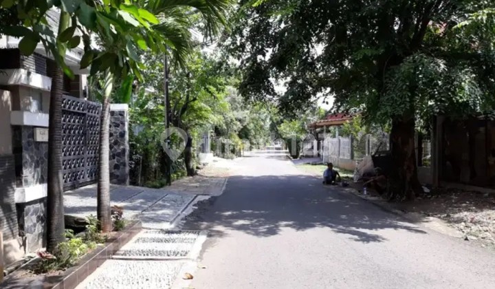 Affordable Land Plot DKI Large Size Bonus Trees In Pondok Kelapa East Jakarta