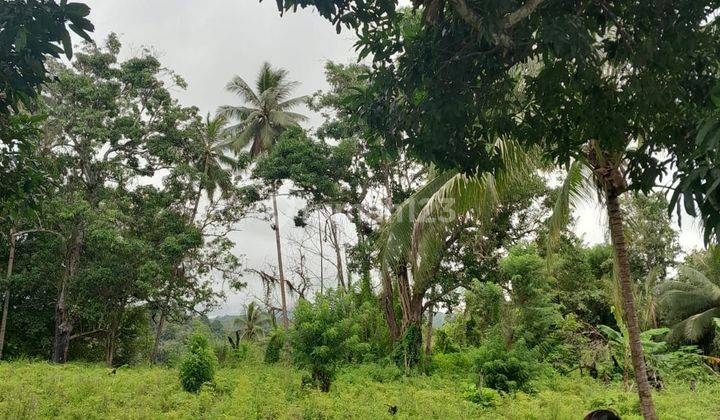 LAHAN BAGUS DEKAT PANTAI 2