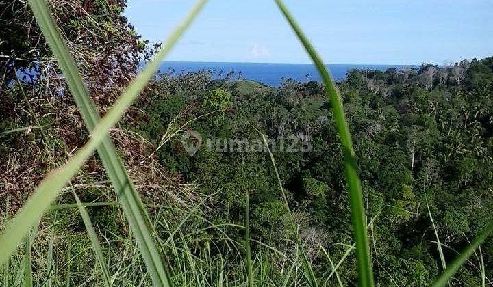 LAHAN BAGUS DEKAT PANTAI 1