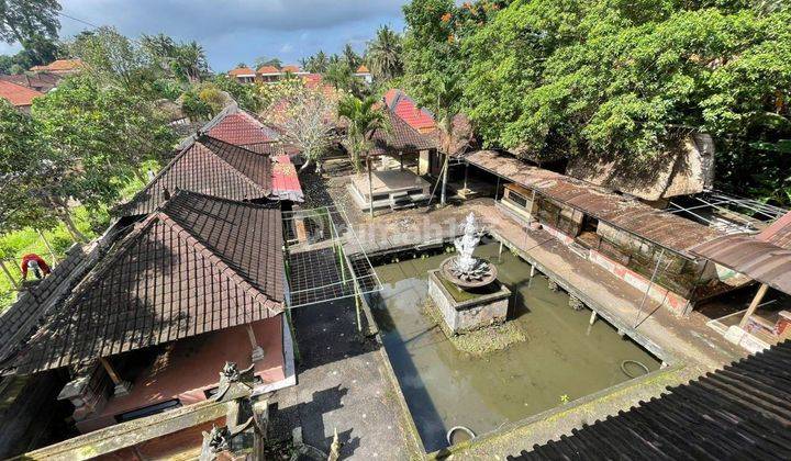 Land with Building Bonus, Strategic Price only 900 Million/are in Ubud 1