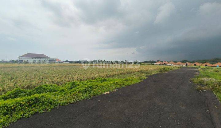 Kavling Leasehold View Sunset dan sawah hijau, cocok untuk Villa, di Nyitdah, Tabanan dkt Pantai Kedungu & Canggu 1