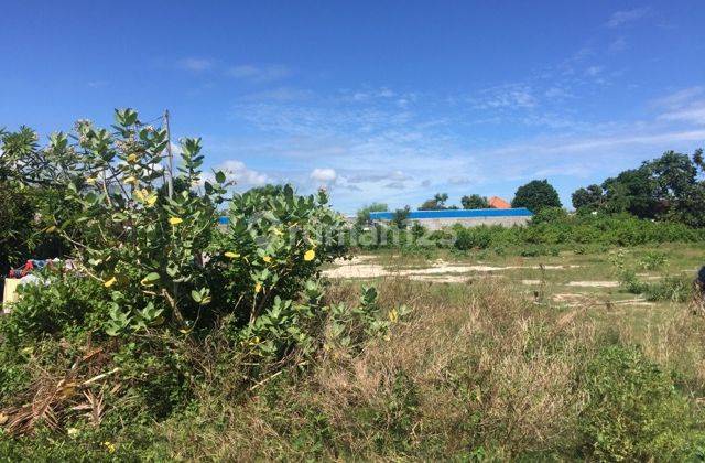 Dijual Tanah Kavling 2 are Buc Hrg 400 Jtan/are di Tuban, Badung 4