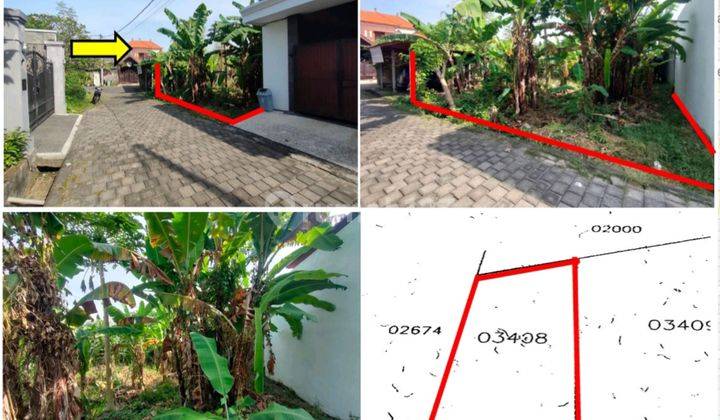Dijual Tanah Murah 2,4 Are 400 Jtan di Siulan, Penatih, Denpasar 1