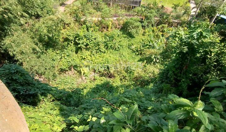 Dijual Tanah Murah 2,4 Are 400 Jtan di Siulan, Penatih, Denpasar 2