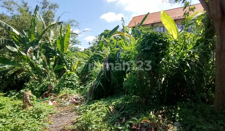 Dijual Tanah Murah 2,4 Are 400 Jtan di Siulan, Penatih, Denpasar 20