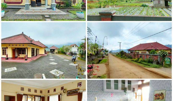 Dijual 3 Villa View Danau&Puncak Gazebo 5M-an @Pancasari, Bedugul 1