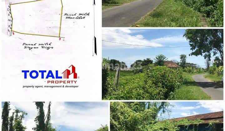 Land for sale in strategic investment location Negotiable 190 million/are @Klungkung 1