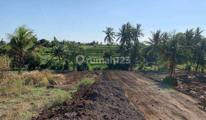 Dijual Tanah Kavling Murah Include Pajak Hrg 300 Jtan/are di Ubud 1