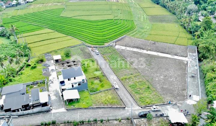 Affordable One Gate System Plots at Yeh Gangga Beach, Tabanan Affordable One Gate System Plots at Yeh Gangga Beach, Tabanan