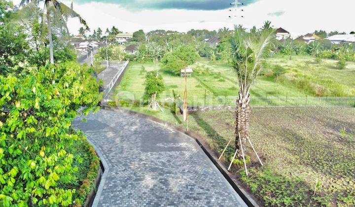 Rice Field View Plot Cheap Price @Near Yeh Gangga Beach Gubug Tabanan Rice Field View Plot Cheap Price @Near Yeh Gangga Beach Gubug Tabanan