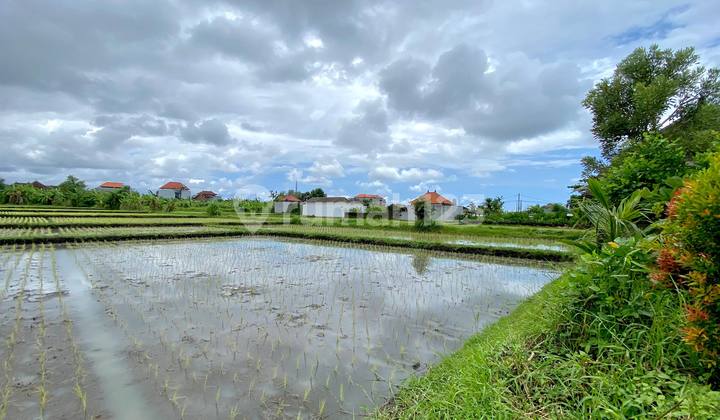 Land Plot Villa Affordable Price, @Pantai Nyanyi, Tabanan Near Canggu
