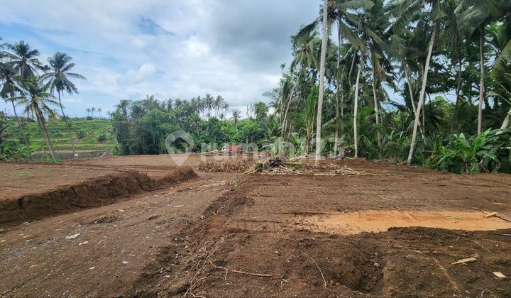 Tanah Kavling Riverside View Sungai & Sawah Hijau Di Saba Gianyar