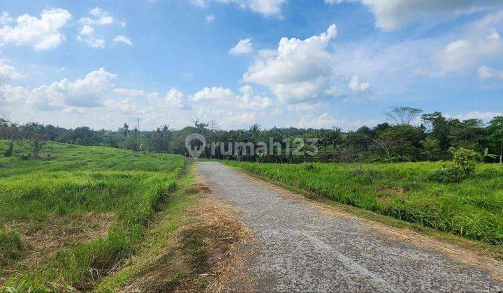 Tanah Kavling View Sawah & Laut, Strategis Mulai 7Jt/m² di Kedungu, Tabanan 1