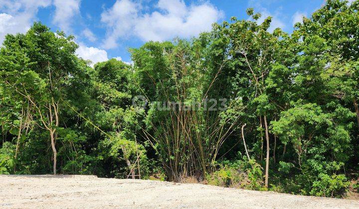 Ready to Build Plot, Economical Price in Kutuh, Nusa Dua 15