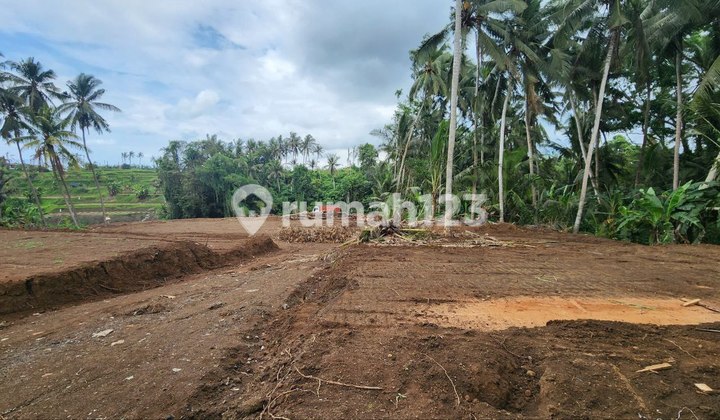 Alam River and Rice Field View Land Plot - Blahbatuh, Gianyar, Bali