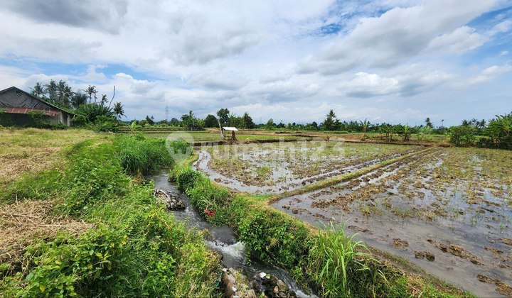 Kavling Dgn View Sawah, di Jl. Utama, Pering, Blahbatuh, Gianyar