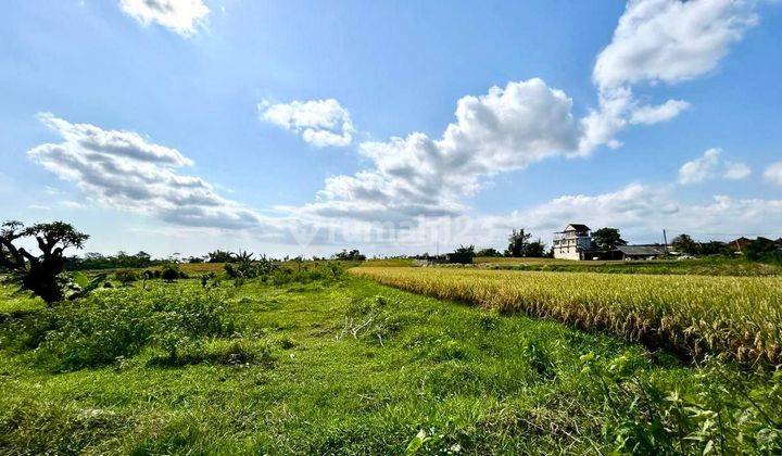 Tanah Kavling with View Sawah, Ekonomis hanya 200 Jtan/are di By Pass Ir. Soekarno, Dauh Peken 1