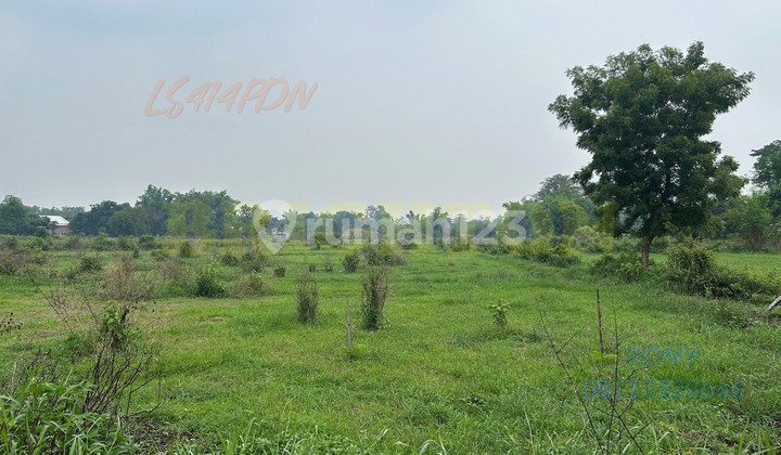 Kavling Murah Pandaan Sukorejo Cocok Buat Peternakan Perkebunan