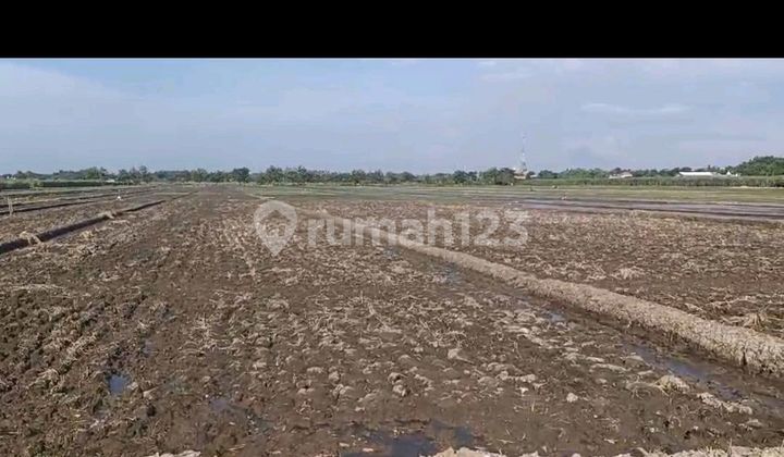 Dijual Tanah Industri Kemlagi Cocok Untuk Pabrik 2