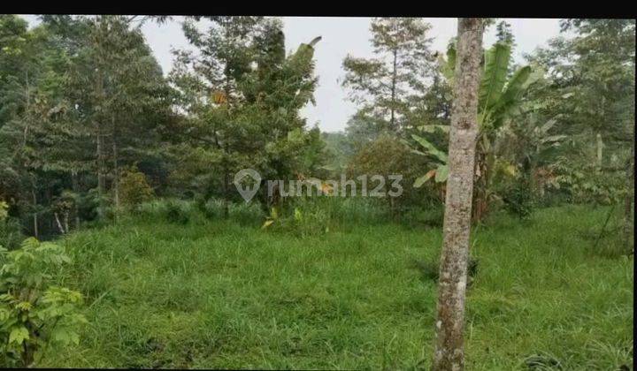 Mau invest ?  tanah murah wonosalam  1