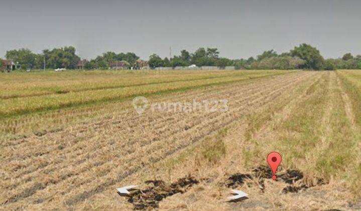 Dijual murah tanah Tembelang jombang  1