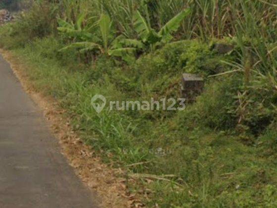 Dijual tanah kesamben jombang murah 1