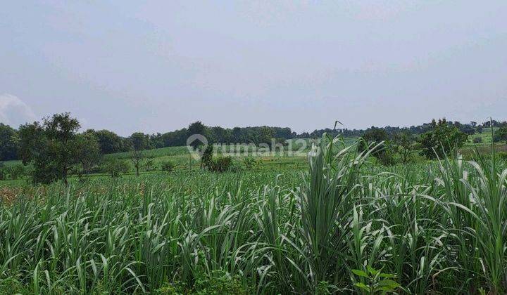 Tanah Murah Dawar Blsndong Zona Industri 2