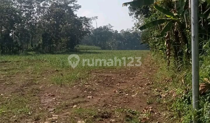 Sell Land in Malang, Cemoro Kandang with Certificate of Ownership Sell Land in Malang, Cemoro Kandang with Certificate of Ownership