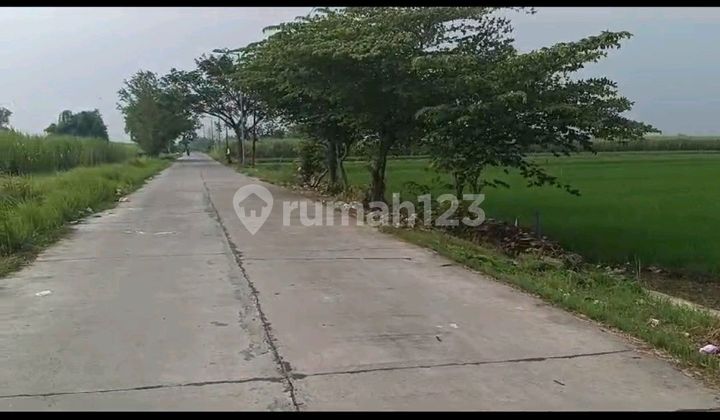 Dijual Tanah Industri Kemlagi Cocok Untuk Pabrik 1