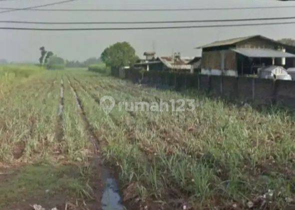 Tanah industri murah raya karangwinongan mojoagung jombang 1