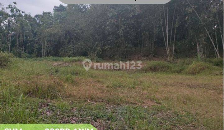 Tanah Tempuran Magelang Area Pemukiman, Dekat Fasum 1