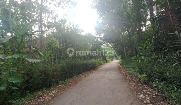 Tanah di Kawasan Pemukiman 400m Dari Jl Raya Borobudur 5