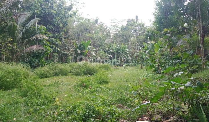 Tanah di Kawasan Pemukiman 400m Dari Jl Raya Borobudur 1