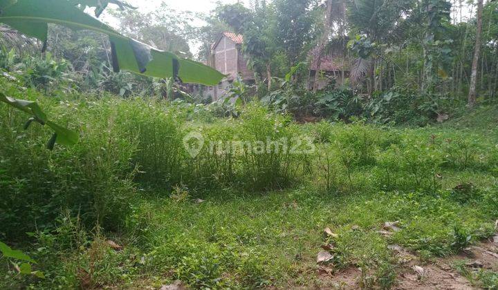Tanah di Kawasan Pemukiman 400m Dari Jl Raya Borobudur 6