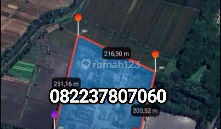 Sewa Tanah Industri 4,8ha (48.000m2) Wonoayu Sidoarjo 1