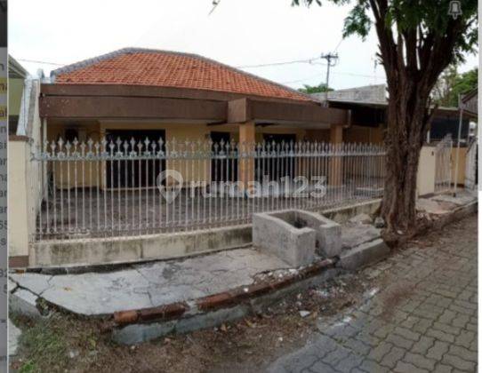 Rumah Dijual Dharmahusada Utara Gubeng Surabaya 1