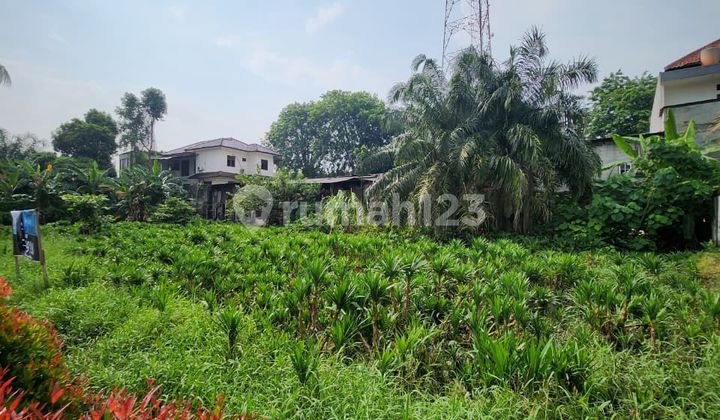 KAVLING DALAM KOMPLEK JOGLO LOKASI STARTEGIS TENANG ASKSE MUDAH KAVLING DALAM KOMPLEK JOGLO LOKASI STARTEGIS TENANG ASKSE MUDAH