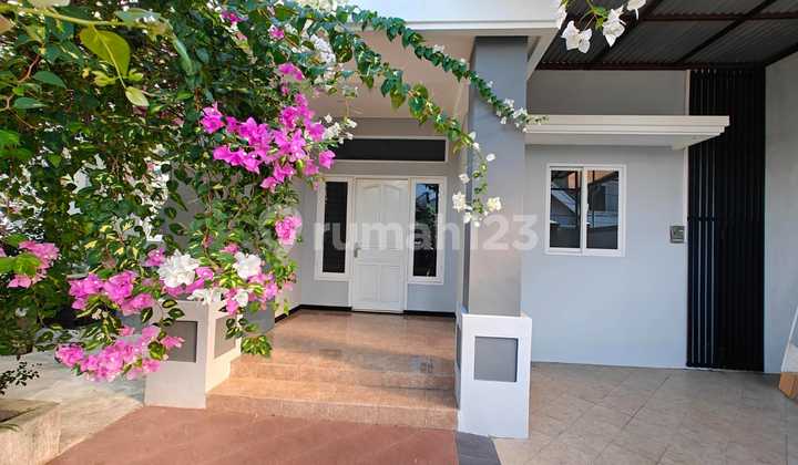 Rumah Dekat Dharmahusada Unair