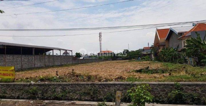 Jual murah tanah 0 jalan di tambak sumur, Sidoarjo, Jawa Timur  1