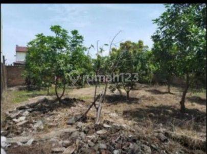 Dijual Murah Tanah Di Sedati Sidoarjo Belakang Bandara Juanda Lama.  Sidoarjo, Jawa Timur 2