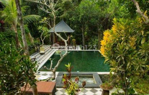 Dijual MURAH villa mewah di Bali,Tabanan,Indonesia
 2