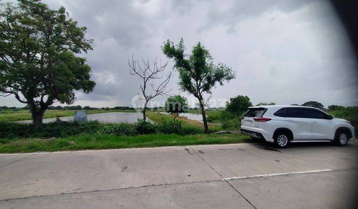Jual tanah MURAH di raya betoyo Manyar, Gresik , Jawa Timur  1