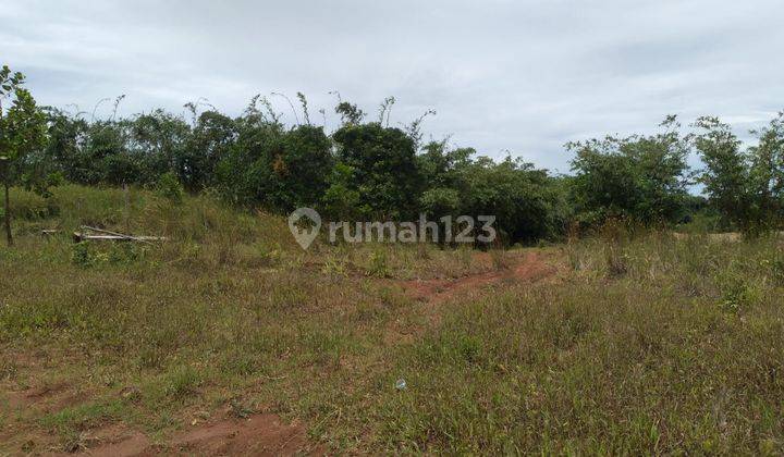 Jual tanah murah 2