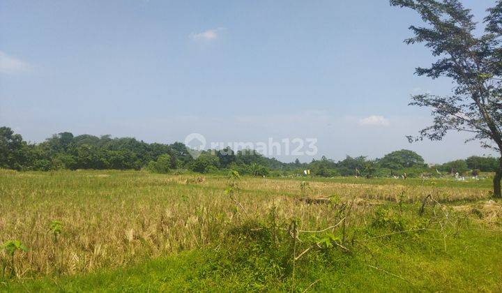 Jual Tanah murah 3