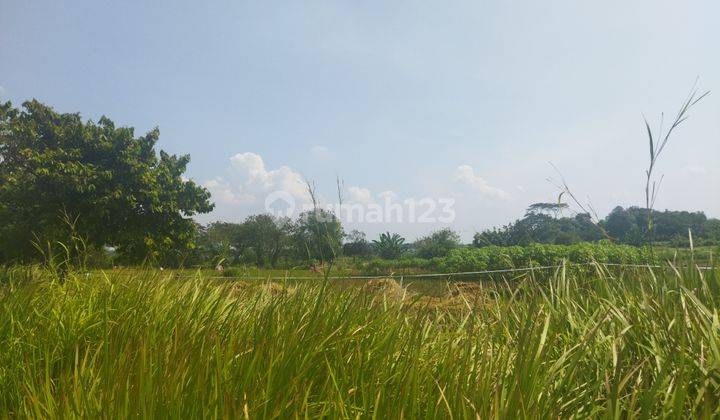 Jual Tanah murah 4