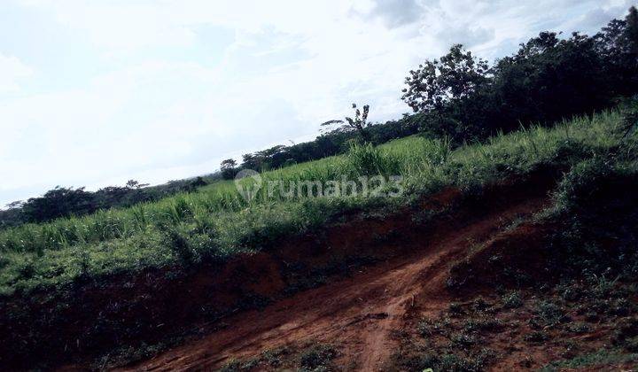 Tanah Murah Luas di Cikangkung Ujung Genteng Sukabumi 3