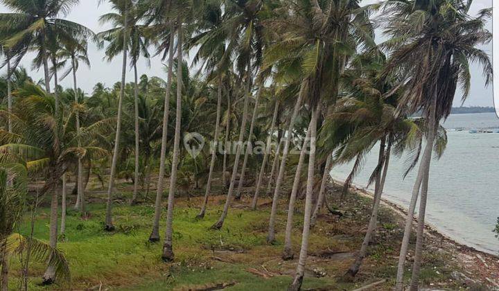 Dijual Tanah di Depan Pantai di Belitung Timur, Bs Utk Bangun Hotel 1