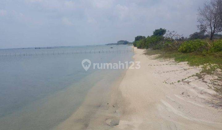 Dijual Cepat Tanah di Kepulauan Belitung Dekat Pantai Murah 650 Ribu m2  1