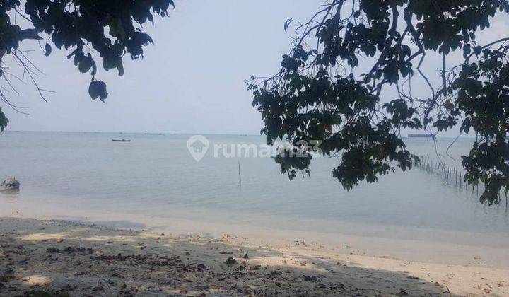 Dijual Cepat Tanah di Kepulauan Belitung Dekat Pantai Murah 650 Ribu m2  2