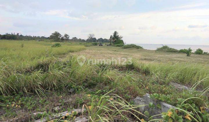 Jual Murah Rp 650 Ribu M2 , Tanah 2 Ha Hanya 200 Meter Dari Pantai di Pulau Belitung  1